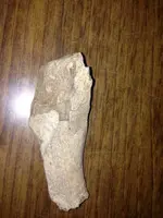 image-4124696308.webp