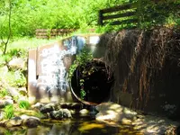 Culvert entrance.webp