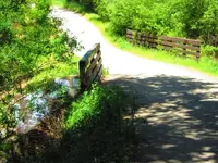 The Bridge.webp