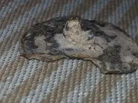 20130507_213913.webp
