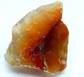 DSCN0329 downsized.webp
