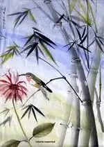 hbird 1.webp hbird 1.webp
