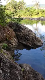 image-208054264.webp