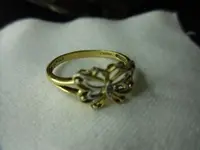 02 Buterfly Close up 1.webp