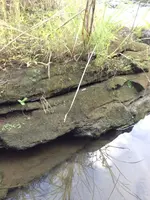 image-3482211419.webp
