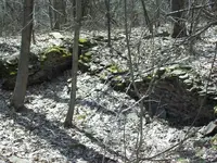 100_2518.webp