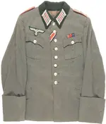 pazercapt.webp