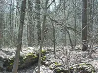 100_2520.webp