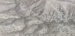 arizona.webp