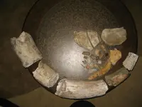 teethh 003.webp