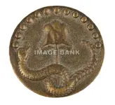 RWb71ds-American rattlesnake and liberty cap button imported from France.webp