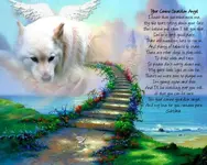 Sasha condolence card.webp