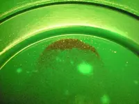 DSCN1068.webp
