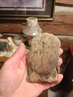 image-2186299006.webp