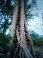DSC02029.webp