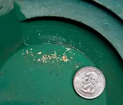 Flood Gold042613 000.webp