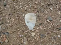 DSCN0463.webp