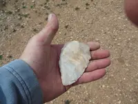 DSCN0464.webp