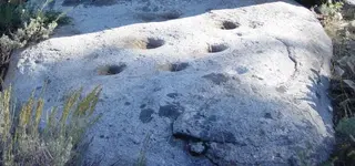 NH FINDS 05-05-2013 001.4 .webp