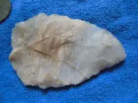 DSCN0468.webp