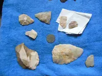DSCN0466.webp