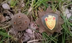 100MEDIA_IMAG1106.webp