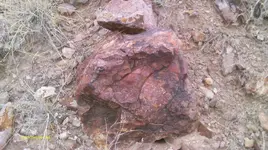 IMAG0020 (7).webp