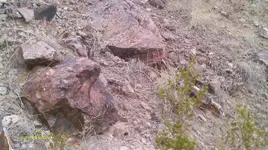 IMAG0021 (7).webp