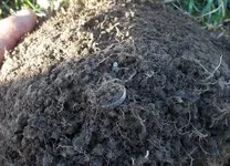 100_0535.webp