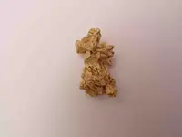 Angel nugget..webp