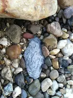 image-173245908.webp