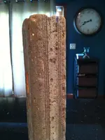 IMG_6048.webp