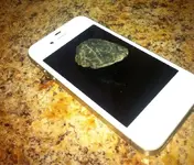 image-3019402933.webp