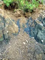 image-1080487626.webp