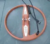 IMG_1241.webp