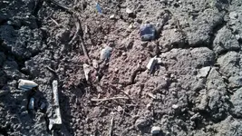 IMG_20130509_084410_536 (1280x720).webp