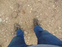 DSCN0413.webp