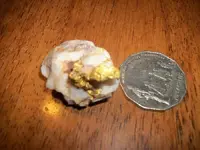 gold 7.webp