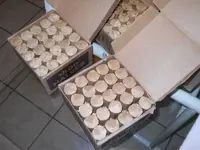 DSCN6333.webp