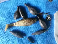 20130519_144610.webp