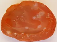 Agate-RedWhiteBubbles-Img_1695SS.webp Agate-RedWhiteBubbles-Img_1695SS.webp