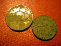 Ringclean 007R.webp