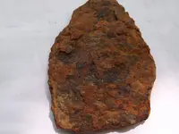 DSCF8066.webp