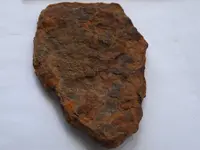 DSCF8068.webp