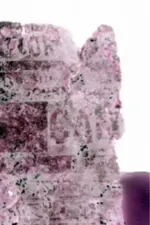 image-3175040852.webp