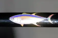CUSTOM BLUEFIN BOAT ROD 001.webp