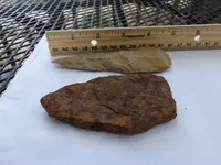 DSCF8074.webp