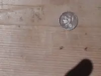 coins 2 002.webp