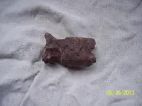 100_2273.webp