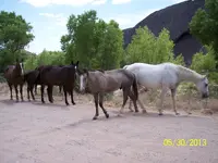 100_2313.webp 100_2313.webp